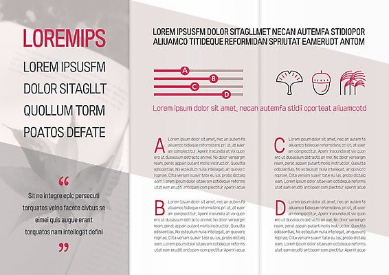 템플릿 표지디자인 북디자인 출판디자인 내지 리플렛 단풍 북커버 3단접지 자연 갈대 팜플렛 사람없음 책 가을 은행잎 도토리 이미지템플릿 AI파일 식물 계절 잎 견과류 생태계 파일형식 벡터