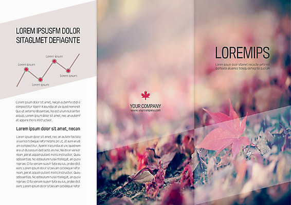 템플릿 표지디자인 북디자인 출판디자인 표지 리플렛 단풍 낙엽 북커버 3단접지 자연 팜플렛 사람없음 가을 꺾은선그래프 이미지템플릿 AI파일 계절 잎 그래프 생태계 파일형식 벡터