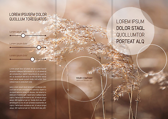 템플릿 표지디자인 북디자인 출판디자인 표지 리플렛 북커버 3단접지 자연 갈대 팜플렛 사람없음 가을 이미지템플릿 AI파일 식물 계절 생태계 파일형식 벡터