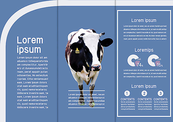 템플릿 한마리 표지디자인 북디자인 출판디자인 내지 리플렛 북커버 3단접지 그래프 팜플렛 사람없음 가축 젖소 이미지템플릿 AI파일 동물 1 소 파일형식 벡터