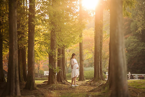 포토 JPG 주간 전신 나무 응시 공원 여자 한명 서기 웃음 성인 야외 옆모습 30대 햇빛 산책 임산부 임신 한국인 태교 성인여자한명만 쓰다듬기 국내포토 자연요소 식물 1 시선 공공시설 뷰포인트 모션 휴식 표정 사람 동양인 장년 태양 여자한명만 성인여자만 파일형식
