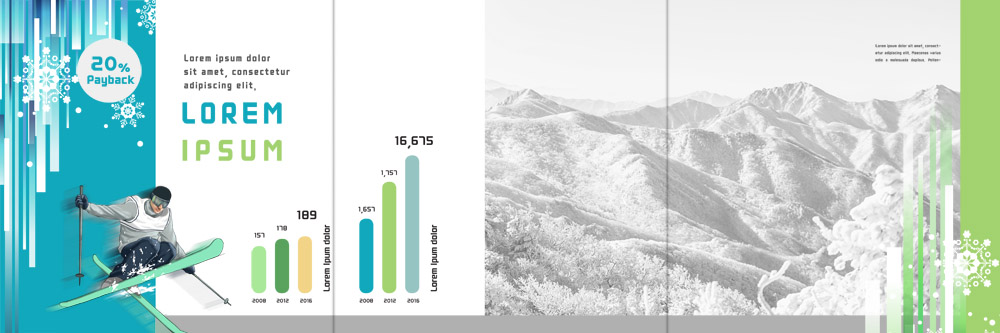 PSD 템플릿 표지디자인 북디자인 출판디자인 남자 내지 리플렛 겨울 북커버 3단접지 그래프 스키 겨울스포츠 산 한명 팜플렛 성인 점프 이미지템플릿 1 계절 스포츠 모션 사람 파일형식
