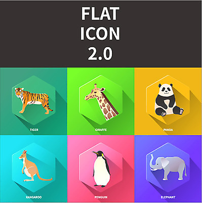 아이콘 코끼리 사람없음 세트 호랑이 플랫 판다 기린 플랫아이콘 펭귄 캥거루 2D아이콘 AI파일 곰 포유류 조류 파일형식 벡터