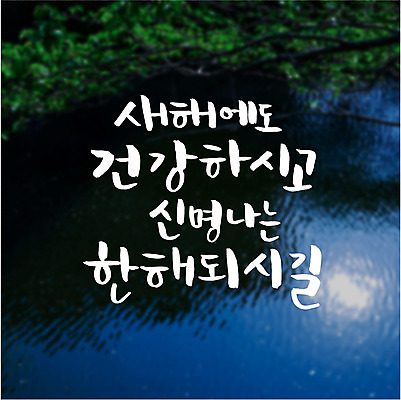 나무 호수 일러스트 캘리그라피 새해 건강 풍경 글자캘리그라피 사람없음 반사 국내일러스트 AI파일 식물 파일형식 벡터