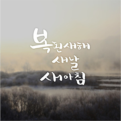 일러스트 캘리그라피 아침 새로움 새해 풍경 글자캘리그라피 사람없음 복 국내일러스트 AI파일 주간 컨셉 한자 파일형식 벡터