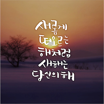 나무 일러스트 캘리그라피 새로움 새해 풍경 글자캘리그라피 사람없음 태양 일출 국내일러스트 AI파일 자연요소 식물 컨셉 노을 파일형식 벡터