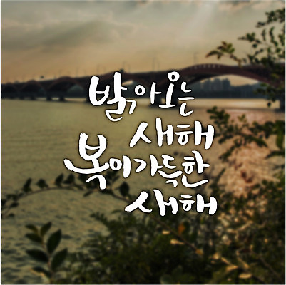 식물 일러스트 캘리그라피 새해 풍경 글자캘리그라피 사람없음 강 복 가교 국내일러스트 AI파일 건축물 한자 파일형식 벡터