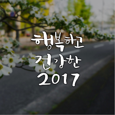 꽃 행복 도로 일러스트 캘리그라피 새해 건강 글자캘리그라피 사람없음 2017년 국내일러스트 AI파일 식물 감정 길 교통시설 연도 파일형식 벡터