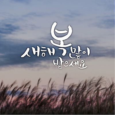 일러스트 캘리그라피 새해 풍경 글자캘리그라피 사람없음 복 갈대밭 새해복많이받으세요 국내일러스트 AI파일 한자 파일형식 벡터 갈대_식물