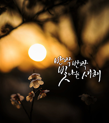 일러스트 캘리그라피 새해 글자캘리그라피 사람없음 반짝임 일출 벚꽃 국내일러스트 AI파일 꽃 모션 노을 파일형식 벡터