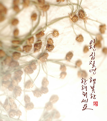 꽃 행복 일러스트 캘리그라피 새해 글자캘리그라피 사람없음 2017년 국내일러스트 AI파일 식물 감정 연도 파일형식 벡터