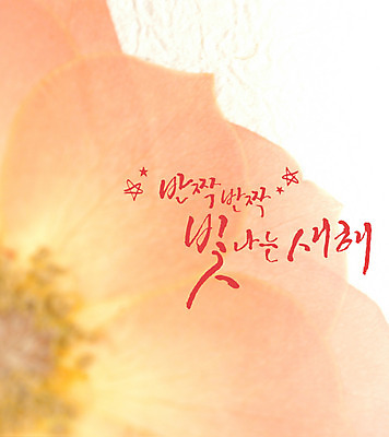 꽃 별 일러스트 캘리그라피 새해 글자캘리그라피 사람없음 반짝임 국내일러스트 AI파일 자연요소 식물 모션 파일형식 벡터