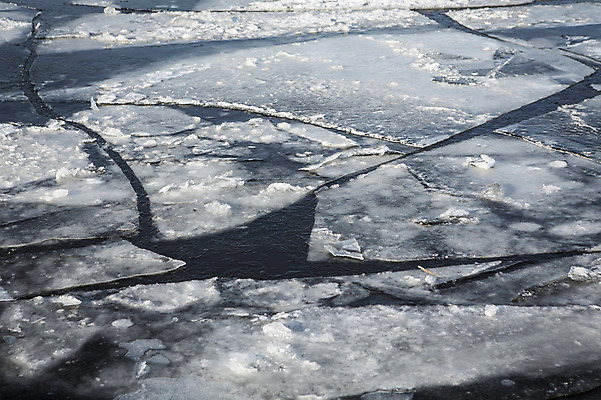 포토 JPG 주간 겨울 서울 사람없음 야외 결빙 얼음 한강 여의도 한파주의보 국내포토 자연요소 계절 한국 자연재해 랜드마크 파일형식