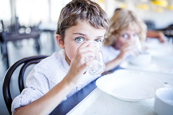 포토 JPG 서양인 외국인 학생 응시 남자 어린이 학교 쟁반 실내 앉기 상반신 두명 앞모습 아웃포커스 10대 친구 스쿨라이프 식당 점심식사 급식 물마시기 국내포토 라이프스타일 시선 교육 뷰포인트 관계 모션 청소년 촬영기법 사람 인종 내부 상점 식사 마시기 파일형식