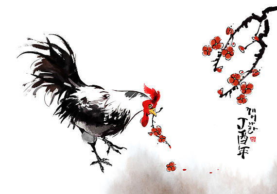 PSD 한마리 일러스트 캘리그라피 새해 사람없음 닭띠 닭 매화 2017년 정유년 국내일러스트 1 꽃 조류 십이지신 연도 파일형식