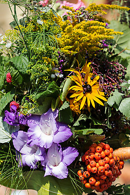 포토 JPG 해외이미지 식물 계절 꽃 꽃다발 백그라운드 오렌지 자연 국화 이벤트 사람없음 장식 빨간색 초록색 여름 컬러풀 노란색 정원 당근 수확 벚꽃 가을 신선 개화 다발 민트 허브 데이지 보리 도토리 수국 구성 딜 캐모마일 해외202004 해외포토 컬러 농업 과일 곡류 뿌리채소 견과류 생태계 파일형식 이미지허브