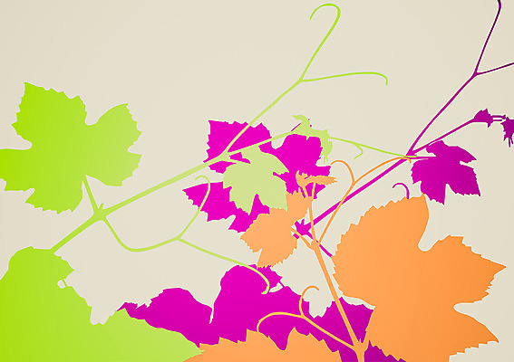 포토 JPG 해외이미지 음식 백그라운드 잎 오렌지 과일 일러스트 자연 포도 사람없음 초록색 와인 수확 소용돌이 제비꽃 복고 옛날 해외202004 해외포토 식물 꽃 컬러 농업 주류 회오리 생태계 파일형식 이미지허브