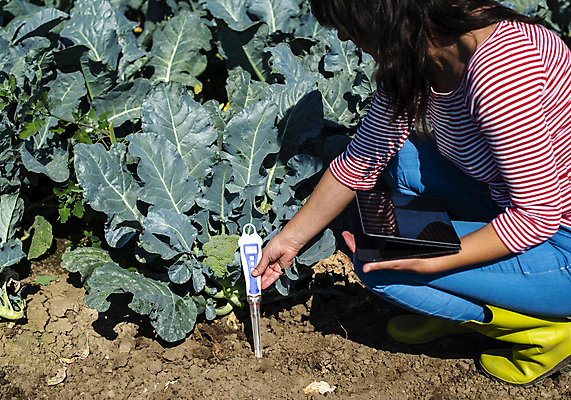 포토 JPG 해외이미지 식물 농업 실험 한명 물 알약 농장 환경 디지털 정원 흙 기구 도구 실험실 보호 결과 브로콜리 분석 측정 눈금 생물학 전자 탐색 계량기 조립 개발 밭일 센서 수소 제어 세련 해외202004 해외포토 자연요소 1 교육 산업 컨셉 채소 사람 약 원소 파일형식 이미지허브