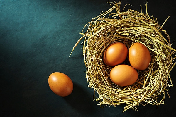 포토 JPG 해외이미지 전통 계절 음식 백그라운드 컨셉 농업 다이어트 아침 휴가 부활절 건강 요리 사람없음 장식 가로 빛 햇빛 농장 갈색 우주 계란 검은색 치킨 어둠 빵집 수확 시골 신선 그룹 둥지 볏짚 상품 정상 심볼 메뉴 유기농 날것 시멘트 성분 밀짚 내추럴 단백질 생태학 목차 해외202004 해외포토 주간 웰빙 교육 기념일 산업 컬러 태양 상점 알 짚 닭고기요리 영양소 파일형식 이미지허브