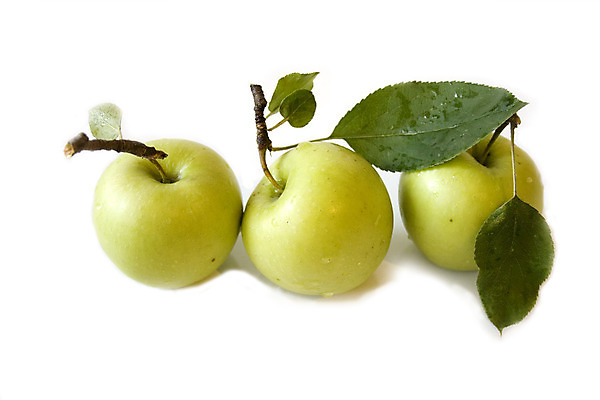 포토 JPG 해외이미지 음식 줄기 백그라운드 농업 다이어트 과일 재료 자연 건강 사람없음 초록색 농작물 정원 주스 수확 가을 흰색 신선 시장 달콤 맛 사과 먹기 유기농 내추럴 고립 밭일 숙성 해외202004 해외포토 식물 웰빙 계절 산업 음료 컬러 컨셉 모션 생태계 파일형식 이미지허브