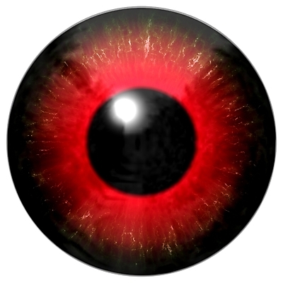 포토 JPG 해외이미지 학생 디자인 응시 백그라운드 일러스트 추상 사람 사람없음 그래픽 빨간색 빛 반사 지구본 검은색 흰색 눈동자 묘사 질감 비전 붓꽃 고립 해외202004 해외포토 시선 꽃 컬러 무늬 눈_신체부위 파일형식 이미지허브