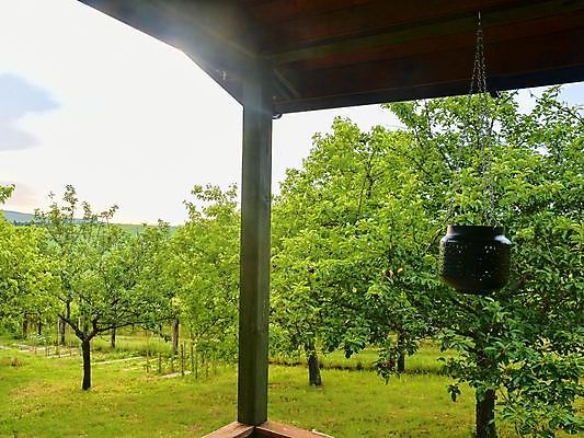 포토 JPG 해외이미지 나무 외관 벽 백그라운드 건축양식 창문 자연 유리 지붕 새로움 주택 풍경 사람없음 야외 건물 목재 초록색 농장 갈색 문 정원 봄 장비 수확 흰색 공구 시골 널 오두막 원예 통나무 수납 잡동사니 헛간 외양간 고립 수목 옛날 판잣집 스타일 해외202004 해외포토 식물 건축물 계절 건축 컬러 컨셉 농업 재료 재질 취미 도구 생태계 저장고 파일형식 이미지허브