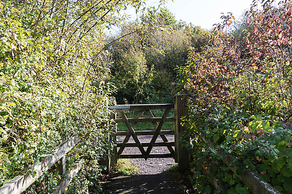 포토 JPG 해외이미지 나무 전통 밭 출입구 사람없음 목재 정원 시골 오솔길 목수 원예 대문 해외202004 해외포토 식물 직업 길 농업 재료 취미 문 파일형식 이미지허브