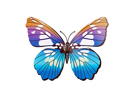 포토 JPG 해외이미지 동물 야생동물 벽 나비 곤충 백그라운드 패턴 날개 자연 기술 미술 사람없음 장식 여름 파란색 환경 검은색 봄 활발 흰색 싱글 복고 생물학 나방 고립 단아함 대칭 옛날 해외202004 해외포토 계절 교육 컬러 컨셉 무늬 문화예술 생태계 파일형식 이미지허브