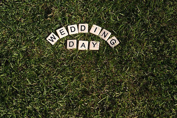 포토 JPG 해외이미지 계절 결혼 텍스트 자연 잔디 사람없음 야외 초록색 여름 단어 메시지 타일 해외202004 해외포토 식물 문자 컬러 이벤트 생태계 파일형식 이미지허브