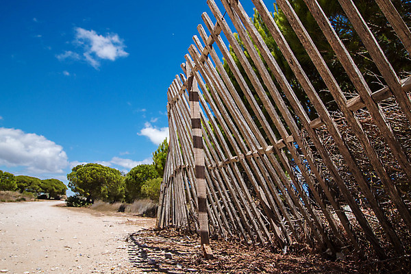 포토 JPG 해외이미지 나무 도로 길 모래 자연 하늘 풍경 사람없음 목재 여름 파란색 울타리 침묵 소나무 지중해 모래언덕 포르투갈 버리기 싱글 먼지 장면 갸우뚱 깨짐 방법 해외202004 해외포토 식물 계절 유럽 바다 컬러 컨셉 재료 교통시설 모션 담장 소리 언덕 생태계 파일형식 이미지허브