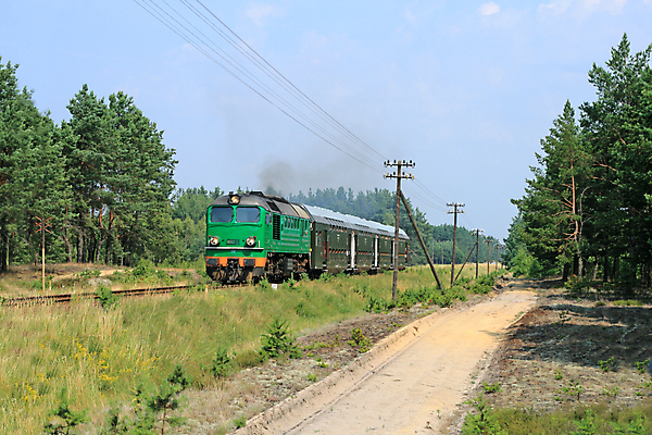 포토 JPG 해외이미지 여행 교통시설 자연 휴가 따뜻함 풍경 취미 사람없음 야외 가로 초록색 여름 햇빛 힘 기차 수확 시골 역사 숲 그림 광택 엔진 폴란드 구식 선로 옛날 통근 해외202004 해외포토 계절 유럽 육상교통 컬러 교통 농업 대중교통 태양 시설 생태계 출근 파일형식 이미지허브