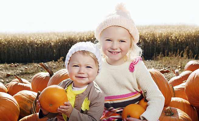 포토 JPG 해외이미지 주간 라이프스타일 응시 계절 여자 행복 초등학생 어린이 2 과일 놀이 하늘 호박 영국 함께함 미소 사람 앉기 야외 두명 캐주얼 농장 할로윈 가을 아기 잡기 그룹 런던 언니 천진난만 해외202004 해외포토 자연요소 학생 시선 옷 감정 유럽 컨셉 농업 채소 가족 모션 표정 생활 자매 파일형식 이미지허브
