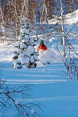 포토 JPG 해외이미지 나무 라이프스타일 행복 스포츠 여행 포즈 겨울 모션 하늘 휴가 스키 휴식 산 한명 사람 성인 취미 파란색 운동 태양 여행객 기쁨 추위 자유 흰색 묘기 가루 속도 무료 선로 프리스타일 해외202004 해외포토 자연요소 식물 1 계절 감정 컬러 컨셉 겨울스포츠 건강 생활 파일형식 이미지허브