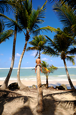 포토 JPG 해외이미지 나무 모래 파도 섬 여행 자연 하늘 휴가 휴식 따뜻함 매달리기 손바닥 사람 앉기 사람없음 야외 책 초록색 여름 모래사장 독서 평화 꿈 그늘 탈출 휴양지 공화국 이국적 터키석 파라다이스 해외202004 해외포토 식물 손 계절 나라 바다 컬러 컨셉 모션 장소 보석 생태계 파일형식 이미지허브