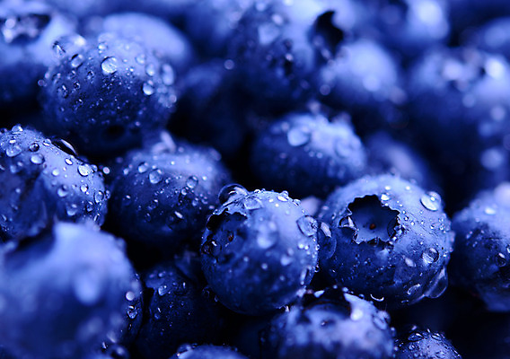 포토 JPG 해외이미지 열매 음식 백그라운드 다이어트 과일 재료 자연 디저트 건강 사람없음 물 파란색 수확 신선 그룹 닫기 달콤 맛 떨어짐 숲 이슬 가득함 구슬 눈물 유기농 질감 냅킨 블루베리 서리 분무기 드리블 흙더미 내추럴 숙성 해외202004 해외포토 자연요소 식물 웰빙 감정 컬러 컨셉 농업 모션 흙 생태계 파일형식 더미 이미지허브