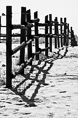 포토 JPG 해외이미지 계절 백그라운드 겨울 패턴 자연 흑백 그림자 사람없음 울타리 검은색 침묵 추위 흰색 해외202004 해외포토 컬러 무늬 촬영기법 담장 소리 생태계 파일형식 이미지허브