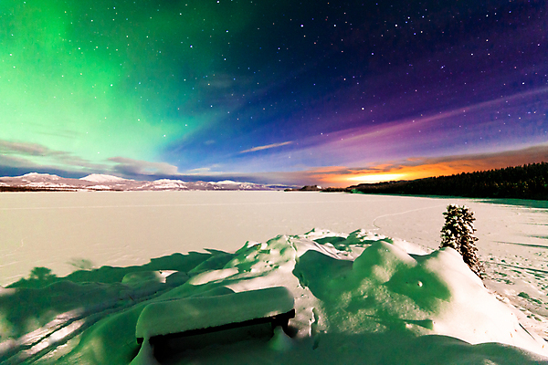 포토 JPG 해외이미지 별 호수 캐나다 겨울 밭 벤치 자연 하늘 전등 풍경 사람없음 야외 초록색 빛 우주 꿈 달 야간 영토 북쪽 빛망울 오로라 광 현상 눈내림 해외202004 해외포토 자연요소 계절 컬러 북아메리카 농업 의자 자연현상 조명 눈_날씨 방향 생태계 파일형식 이미지허브