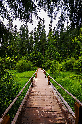 포토 JPG 해외이미지 나무 길 호수 백그라운드 밭 자연 하늘 날씨 산 풍경 잔디 사람없음 야외 목재 옆모습 가로 초록색 강 환경 침묵 물방울 개울 숲 땅 그림 지역 수목 수평선 해외202004 해외포토 식물 뷰포인트 컬러 농업 재료 소리 생태계 파일형식 이미지허브
