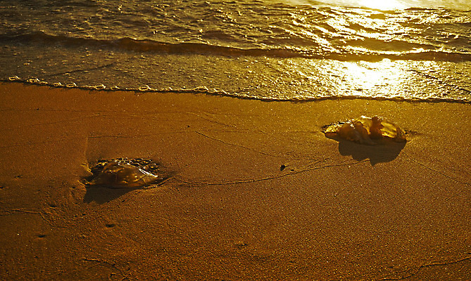 포토 JPG 해외이미지 모래 파도 바다 2 그림자 안전 사람없음 물 반사 죽음 남쪽 낭비 생태학 재앙 해외202004 해외포토 자연요소 교육 컨셉 방향 파일형식 이미지허브