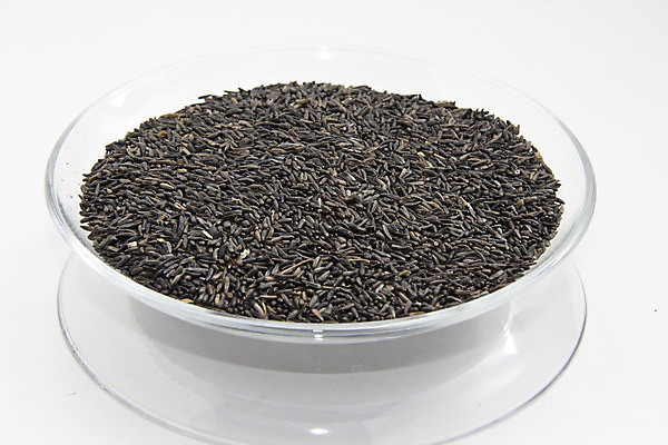 포토 JPG 해외이미지 음식 자연 건조 건강 요리 씨앗 사람없음 고수 묘사 날것 성분 니제르 스카우트 에티오피아 채식주의자 해외202004 해외포토 식물 아프리카 향신료 생태계 채식 파일형식 이미지허브