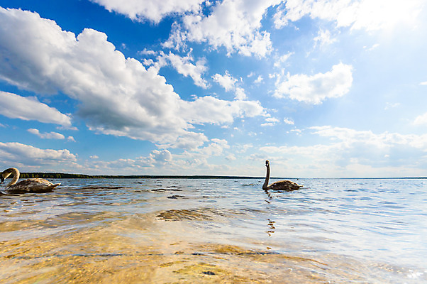 포토 JPG 해외이미지 나무 식물 구름 계절 공원 실루엣 여행 백그라운드 밭 오렌지 자연 하늘 휴가 따뜻함 그림자 풍경 사람없음 야외 빨간색 초록색 여름 파란색 빛 햇빛 태양 노란색 평화 일출 환경 침묵 황혼 일몰 새벽 황금 저녁 숲 장면 내추럴 수평선 해외202004 해외포토 자연요소 공공시설 컬러 컨셉 농업 과일 촬영기법 노을 소리 야간 생태계 파일형식 이미지허브