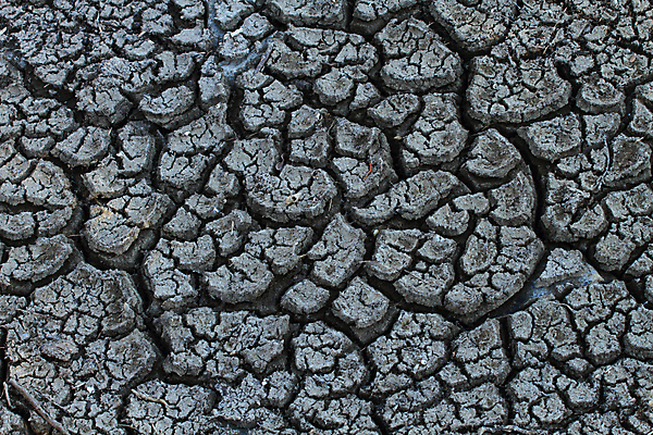 포토 JPG 해외이미지 지구 건조 사람없음 흙 먼지 가뭄 땅바닥 해외202004 해외포토 날씨 바닥 파일형식 이미지허브