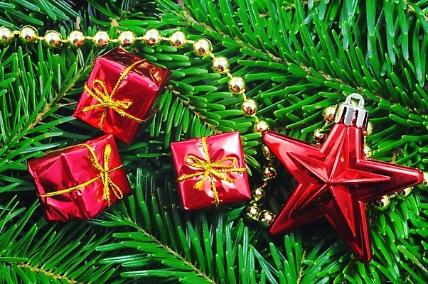 포토 JPG 해외이미지 계절 크리스마스 겨울 휴가 선물 사람없음 장식 빨간색 초록색 상자 축제 화환 기쁨 인사 신용카드 행운 X 전나무 여의주 해외202004 해외포토 나무 알파벳 기념일 꽃 감정 컬러 컨셉 금융 예절 파일형식 이미지허브