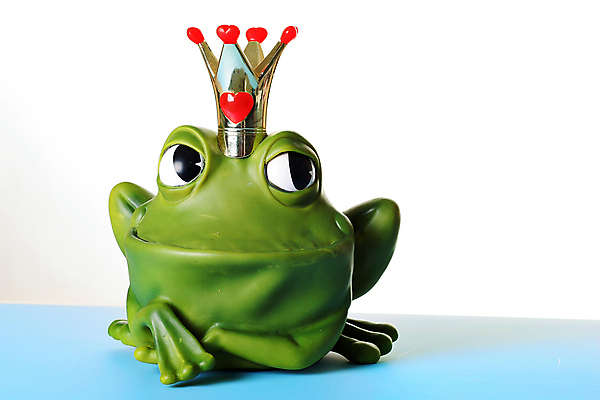 포토 JPG 해외이미지 동물 행복 남편 개구리 사랑 미소 사람없음 빨간색 반려동물 컬러풀 기쁨 흰색 표현 날짜 달콤 고립 동반자 왕자 스타일 해외202004 해외포토 감정 컬러 표정 양서류 맛 파일형식 이미지허브