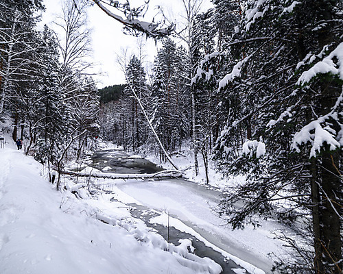 포토 JPG 해외이미지 나무 계절 공원 도로 길 백그라운드 크리스마스 겨울 자연 하늘 날씨 풍경 사람없음 야외 물 파란색 강 환경 냉동 얼음 추위 흰색 나뭇가지 숲 시원함 서리 내추럴 눈내림 해외202004 해외포토 자연요소 식물 공공시설 기념일 컬러 교통시설 눈_날씨 생태계 파일형식 이미지허브