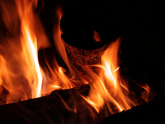 포토 JPG 해외이미지 나무 응시 사람없음 빨간색 빛 소풍 노란색 검은색 뜨거움 센터 야간 위험 모닥불 통나무 해외202004 해외포토 자연요소 식물 시선 컬러 컨셉 불 야외활동 파일형식 이미지허브