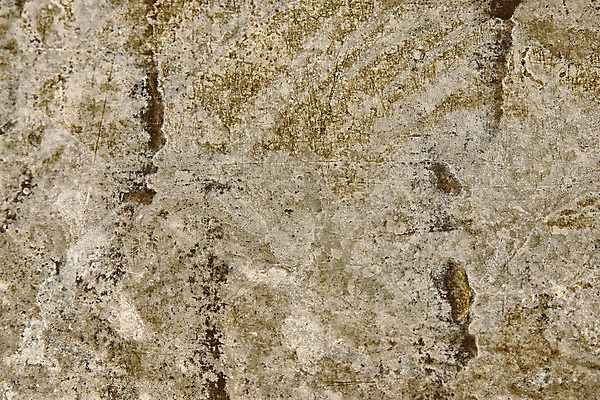 포토 JPG 해외이미지 산업 백그라운드 패턴 표면 날씨 사람없음 빨간색 울타리 갈색 금속 재활용 손상 회색 거친 철 부식 질감 시트 골절 그런지 옛날 철강 아연 해외202004 해외포토 컬러 컨셉 무늬 의학 재질 담장 친환경 영양소 파일형식 이미지허브