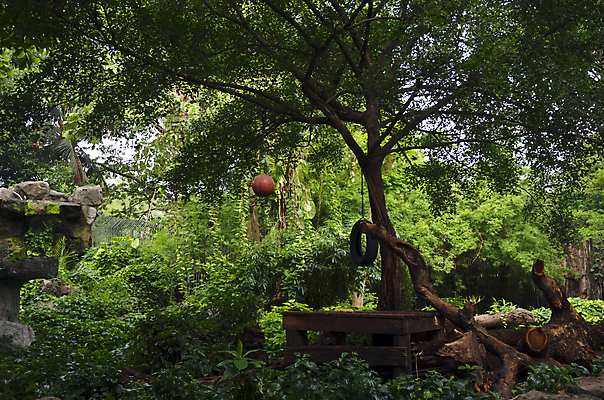 포토 JPG 해외이미지 나무 전통 디자인 옷 계절 공원 꽃 여행 백그라운드 패턴 밭 비즈니스 건축양식 바지 자연 탁자 표면 휴가 주택 프레임 미술 풍경 사람없음 야외 내부 건물 목재 장식 초록색 파란색 빛 청춘 태양 갈색 유행 어둠 놀람 공백 폭포 수확 흰색 직물 도시 면 숲 남색 싱글 질감 복고 땀 캔버스 섬유 내추럴 그런지 옛날 스타일 해외202004 해외포토 자연요소 식물 건축물 공공시설 건축 감정 컬러 가구 컨셉 무늬 농업 재료 하의 문화예술 표정 생태계 파일형식 이미지허브