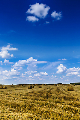 포토 JPG 해외이미지 주간 구름 농업 하늘 풍경 사람없음 야외 농경지 시골 짚더미 뭉치 밀짚 해외202004 해외포토 자연요소 산업 농장 볏짚 짚 파일형식 더미 이미지허브