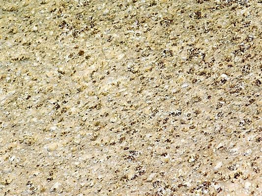 포토 JPG 해외이미지 디자인 벽 백그라운드 패턴 건축양식 자연 표면 날씨 추상 바닥 사람없음 우주 검은색 공백 회색 골동품 바위 거친 묘사 질감 대리석 시멘트 내추럴 그런지 석판 옛날 콘크리트 화강암 해외202004 해외포토 건축 컬러 무늬 재료 암석 돌_바위 생태계 파일형식 이미지허브